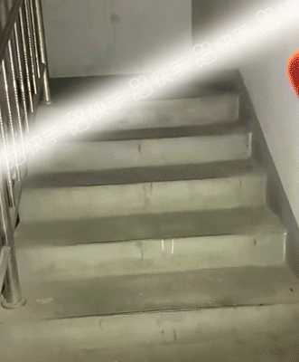 55.gif