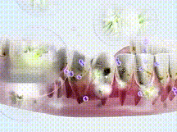 1a214778332be24cf4bf2bc7b8d75887.gif