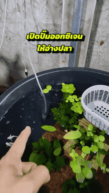 HFH-【日夜供氧不断电】太阳能鱼缸增氧气泵_09-1.gif