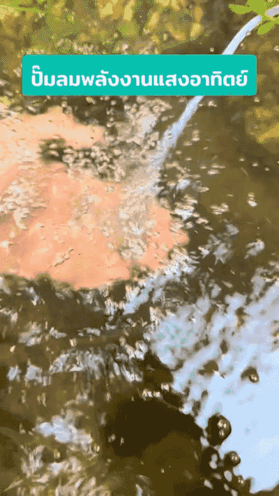 HFH-【日夜供氧不断电】太阳能鱼缸增氧气泵_11-2.gif