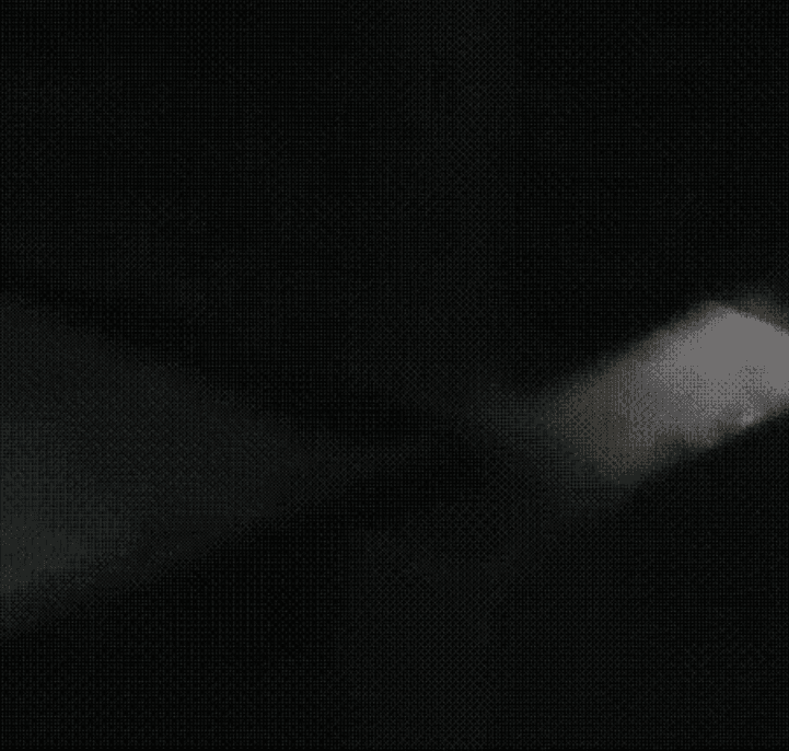 翻译_14.gif