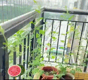 7-3659a8cfe09e5d7500c2800349ff5945.gif