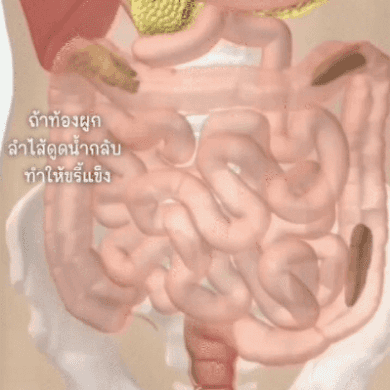 翻译件-HFH-维生素镁片-1244922_14.gif