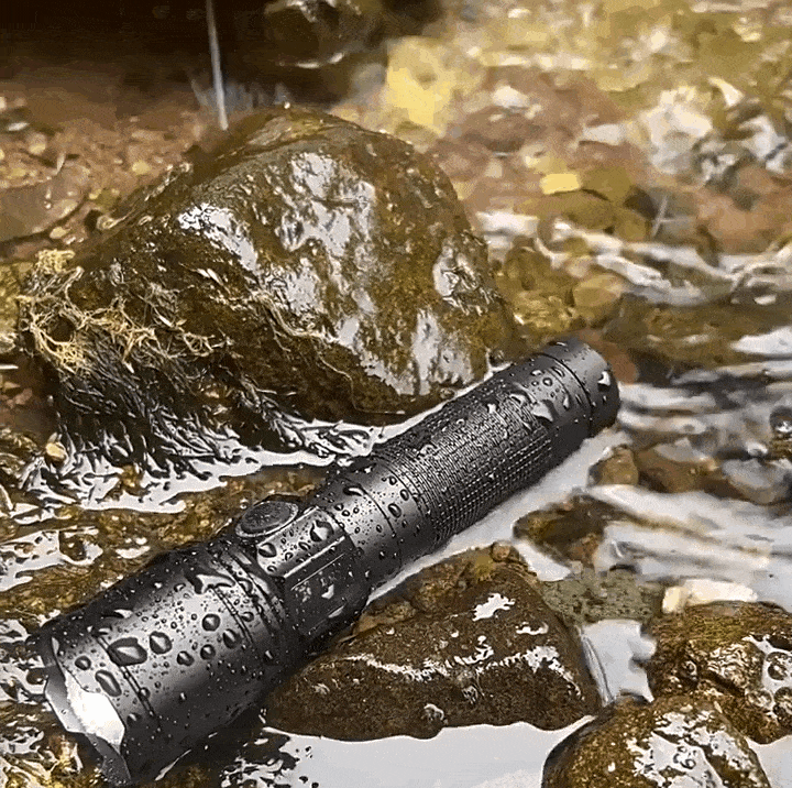 8.gif