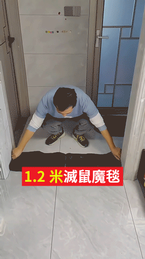 6.gif