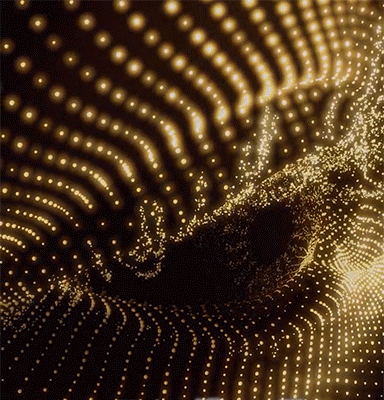 3.gif