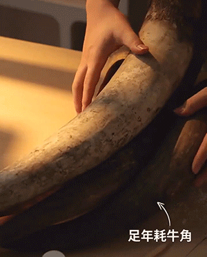 1.gif