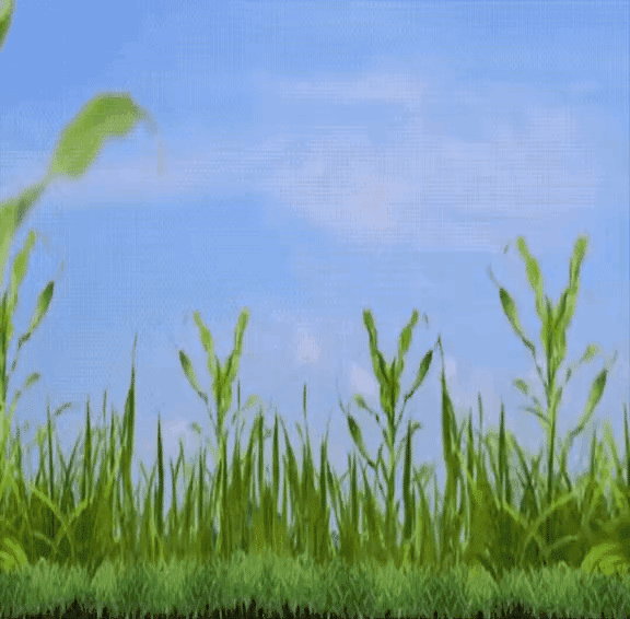 1747809777669.gif