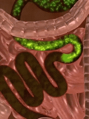 123_16.gif