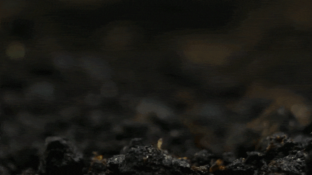 6987e237143f0d52e82ba28b536ee908.gif