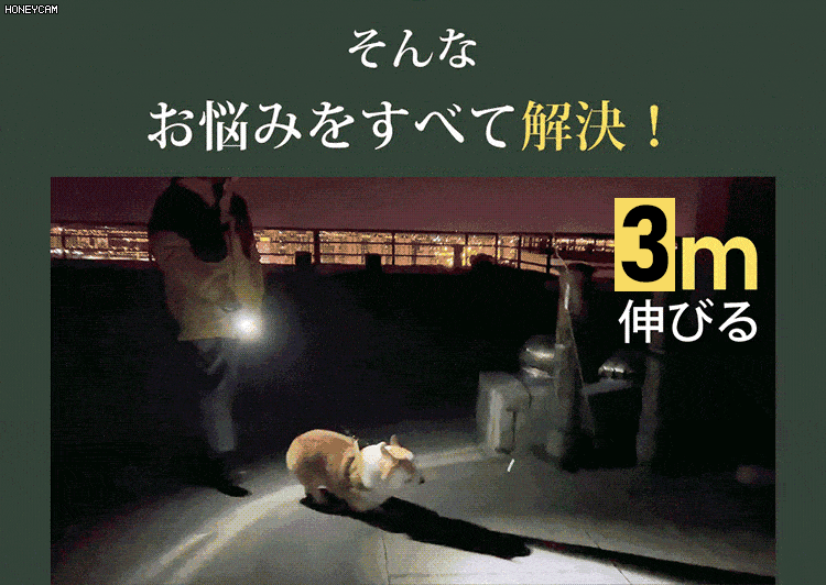 451256.gif