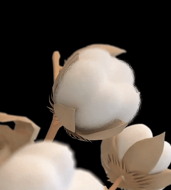 1_20.gif
