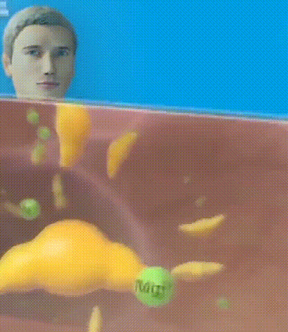04.gif