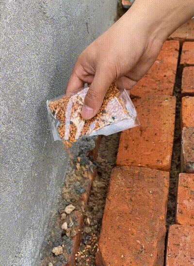 20240814_172423_411.gif