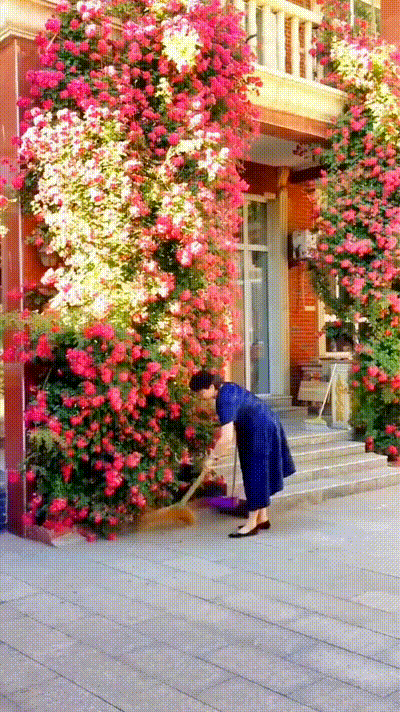 20240814_172423_417.gif