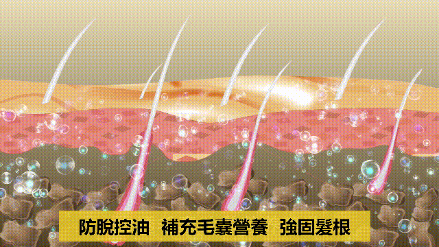 05.gif