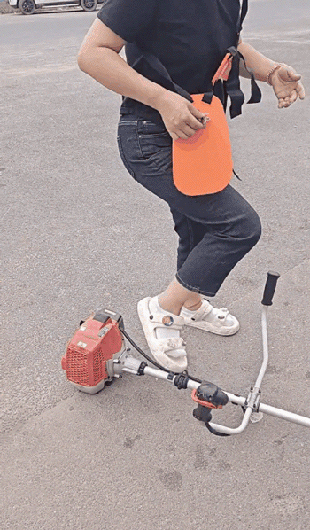 C_22.gif