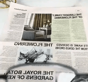 眼镜_13.gif