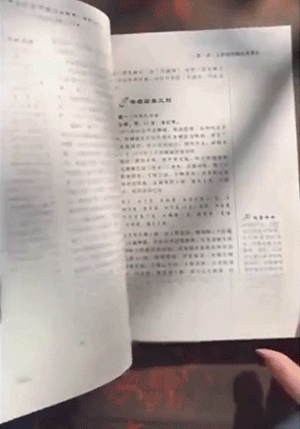 4.gif