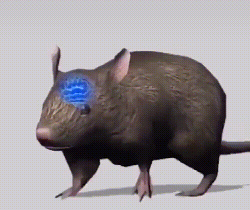 b55d92ea382f0fff88e837668cd7c5e2.gif