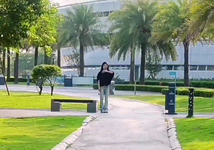 5.gif