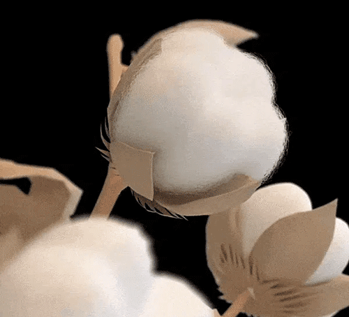 Honeycam-2024-10-16-07-13-44.gif