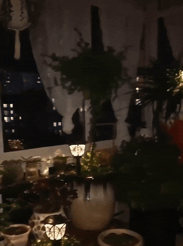 20240807_093401_244.gif