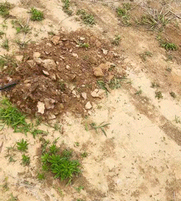 7479c820933d49279ab07479ed51650c (1).gif