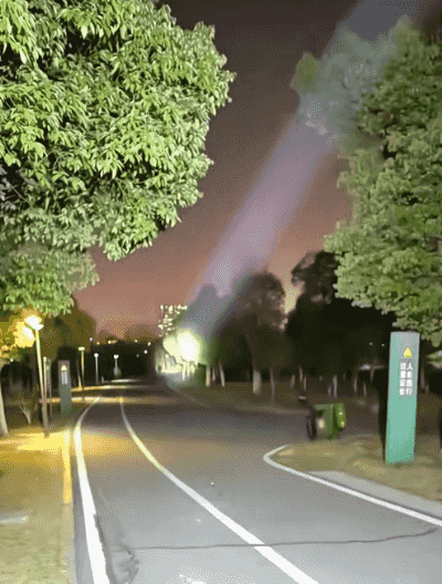 20241010_100241_117.gif