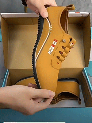 1.gif