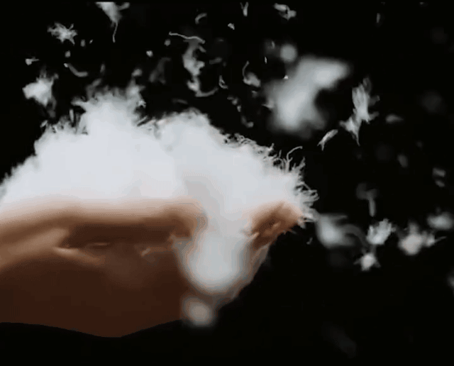 d33f29483cf266b40544779a18715dc8.gif