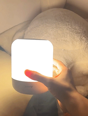 2.gif