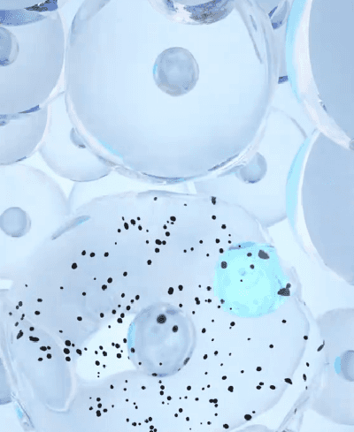 翻译件-SL-防水防汗不脱妆双色三抹吸晴眼影棒-1189209-系统_07.gif