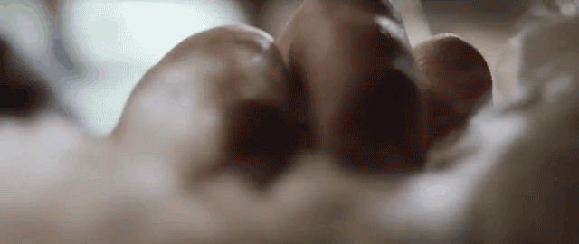 44f6af9b052e4bd49ebdf5c85f6a3dd4.gif