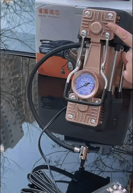 06.gif