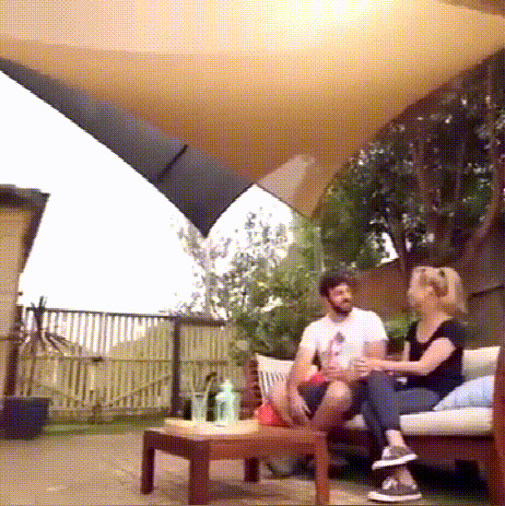6.gif