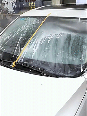 11.gif