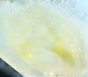 4.gif