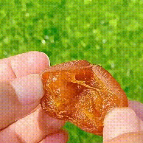 西北方城市.gif