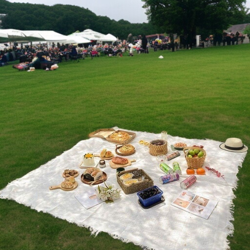 Unique camping table setup with picnic blanket